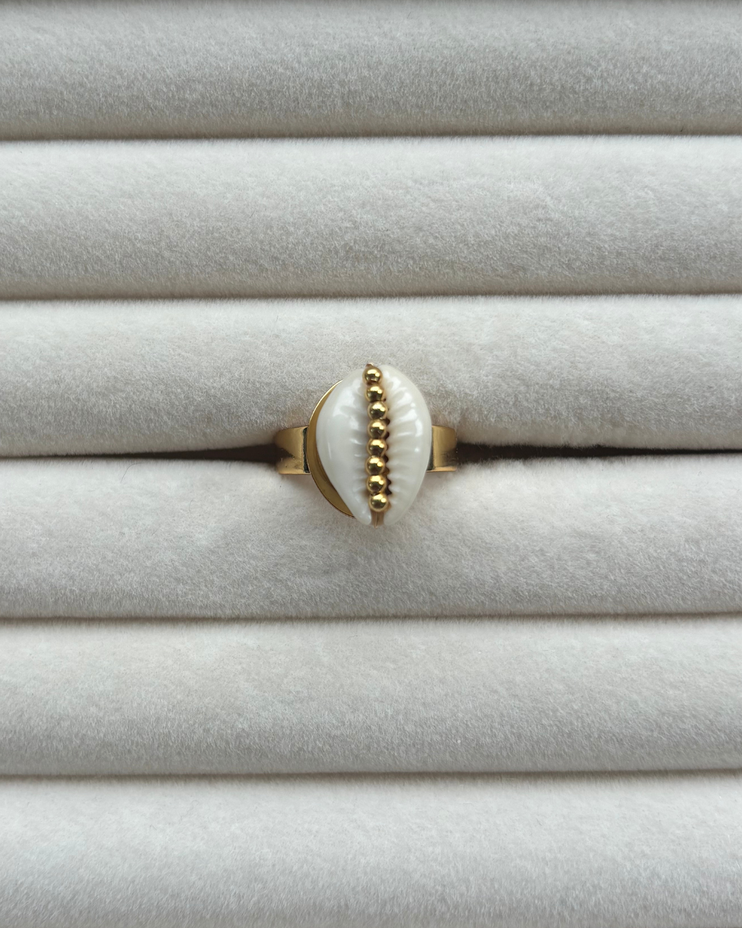 Shell ring