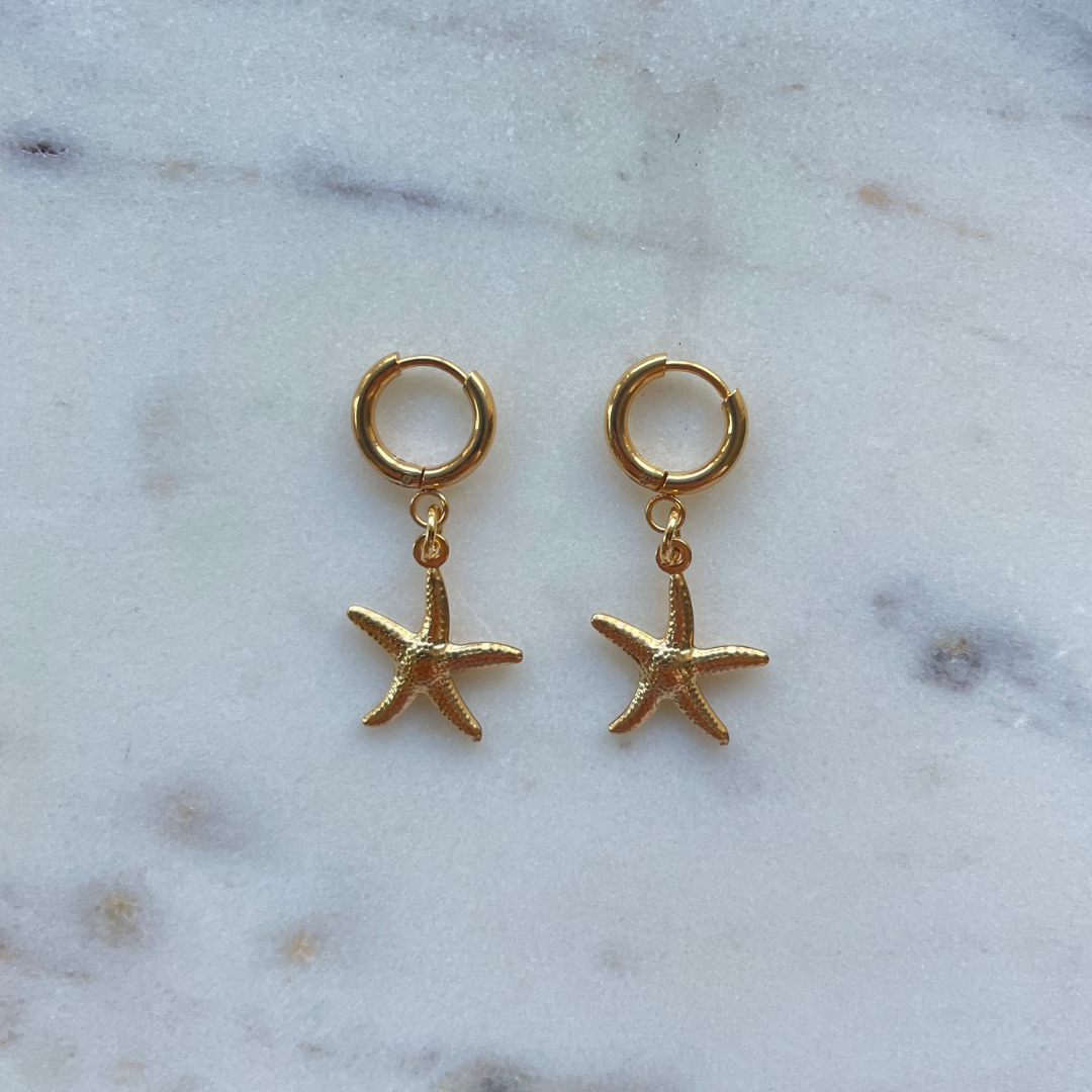 Little star earrings
