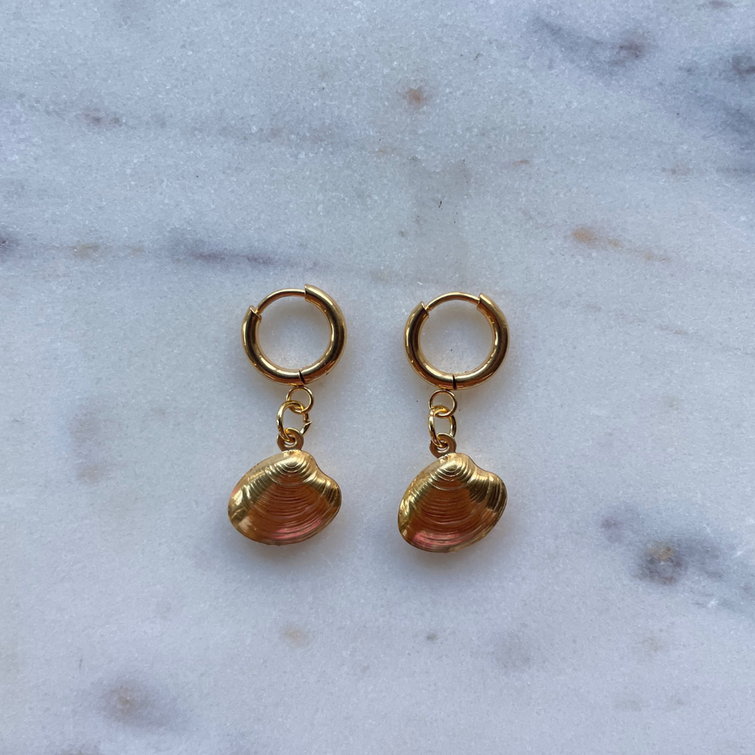 Little shell earrings