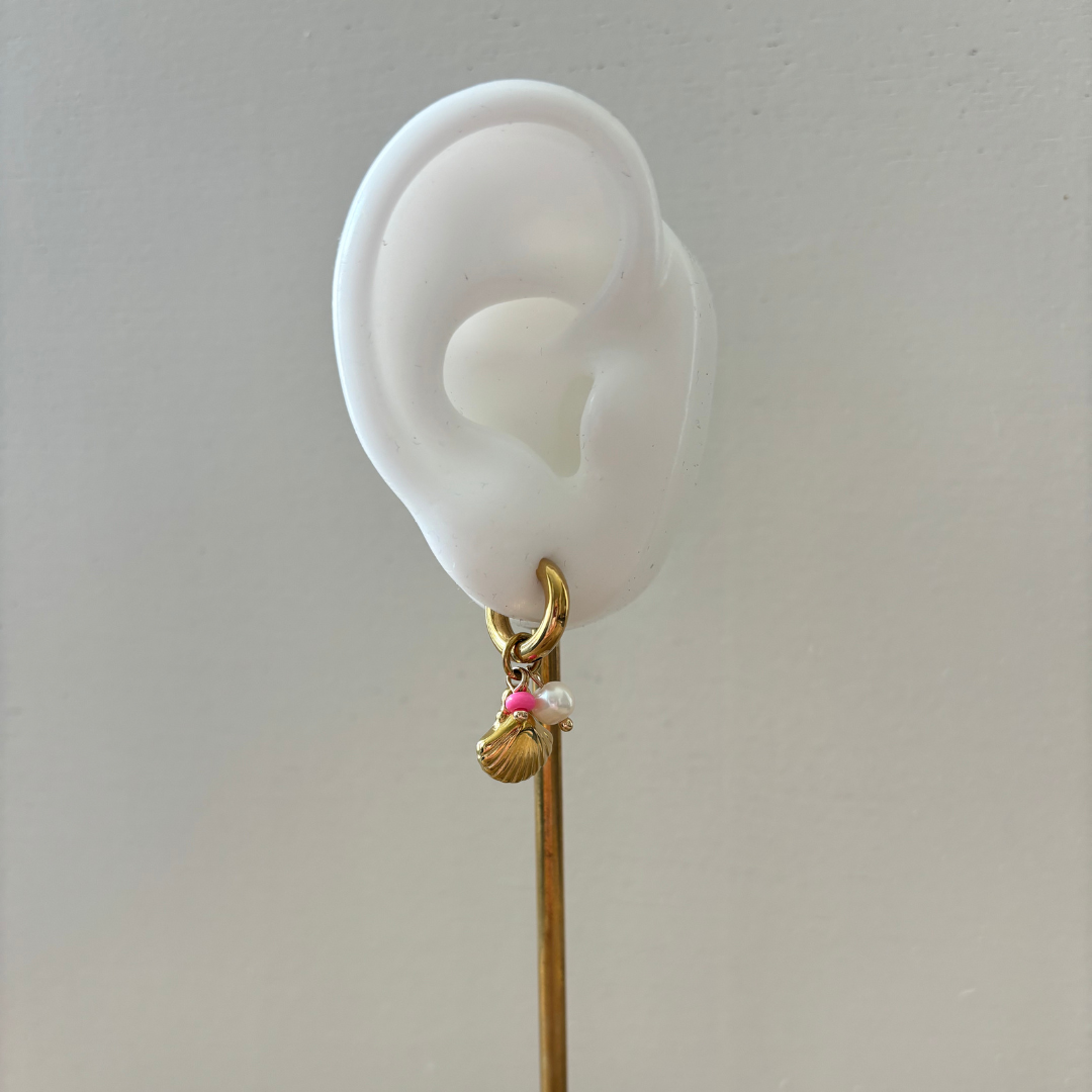 Shell earrings